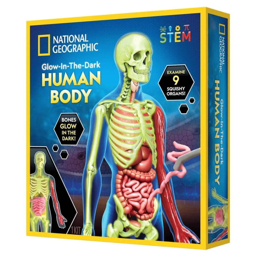 Anatomipaket - Bli klokare på kroppen