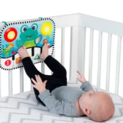 Baby Einstein - Musikmatta