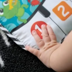 Baby Einstein - Musikmatta