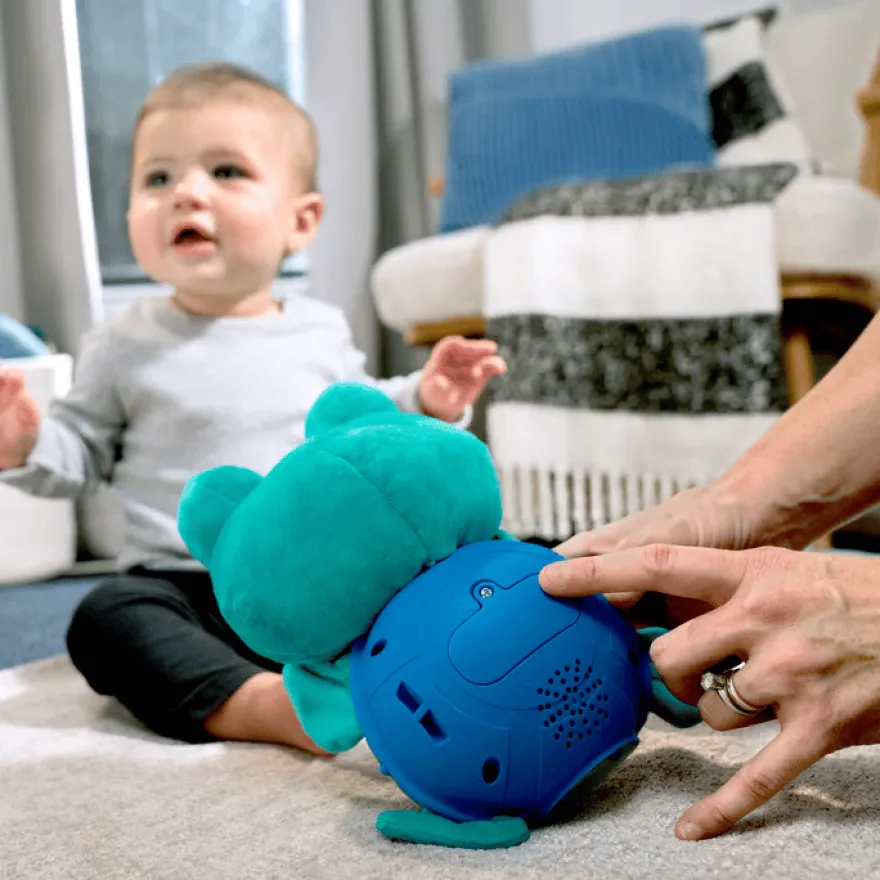 Baby Einstein - Musiksköldpaddan Neptunus
