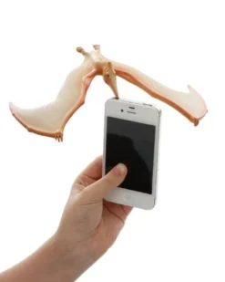 Balansfågel - Flygödla Pteranodon