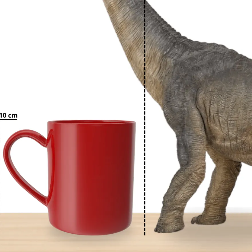 Brachiosaurus – L: 36 cm