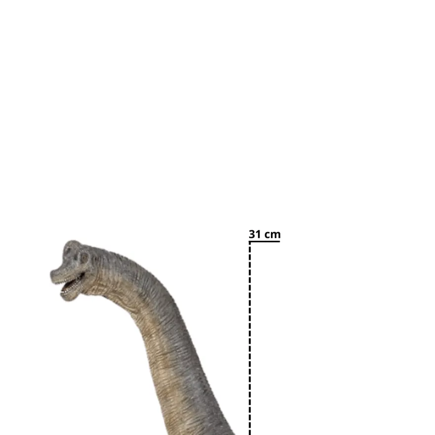 Brachiosaurus – L: 36 cm
