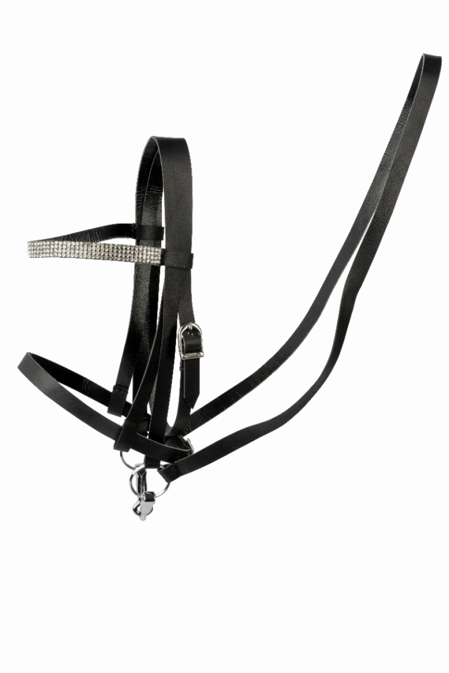 Cheval Roi-tillbehör - Träns, sort/silver-strass