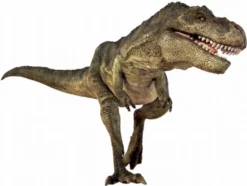 Diabilder med Dinosaurier