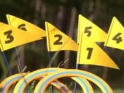 Discgolf