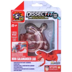 Dissekera en salamander