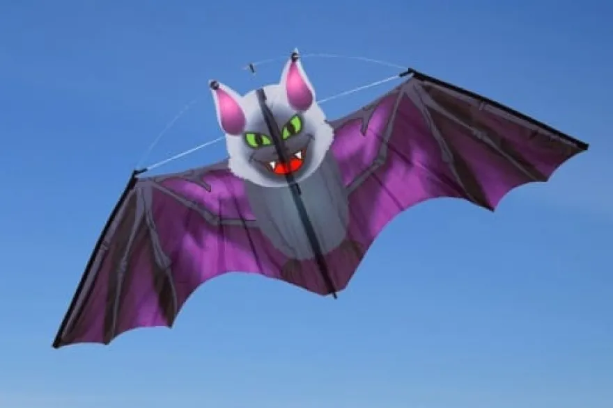 Drake - Fladdermus 117 x 47 cm