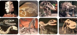 Ficklampa med diabilder - Hej, dinosaur!