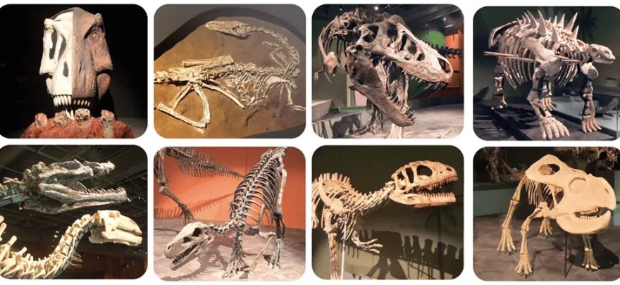 Ficklampa med diabilder - Hej, dinosaur!