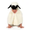 Får (3-7 år)