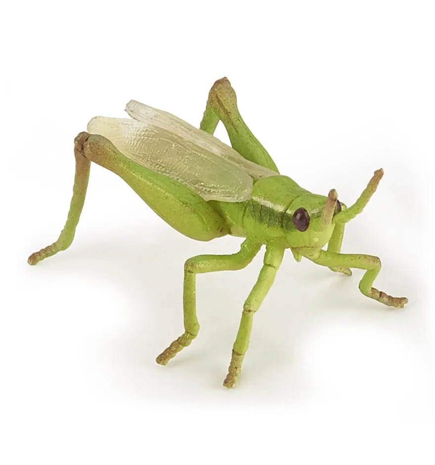 Gräshoppa - L: 6,5 cm