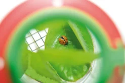 Insektsglas med förstoringsglas, diameter 6cm