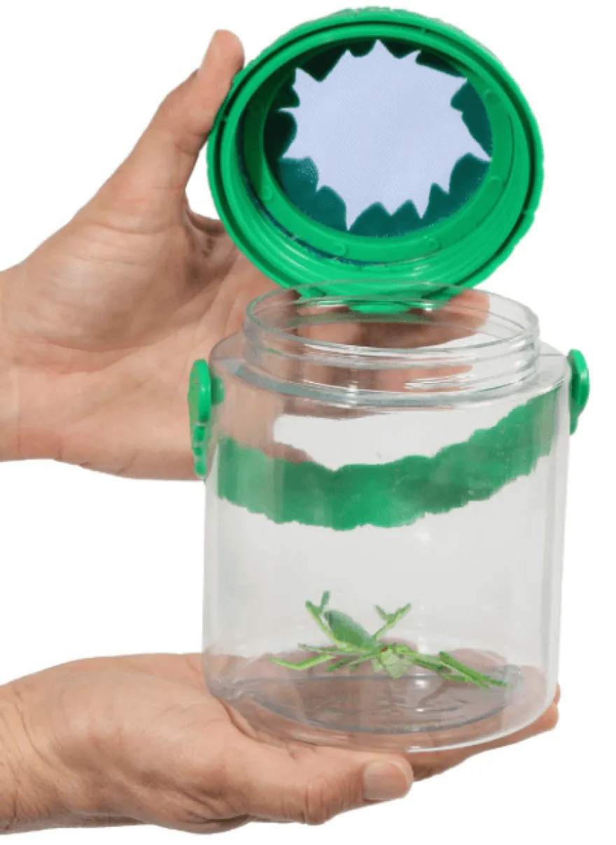 Insektsglas - med nät i locket