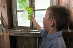 Insektssugare