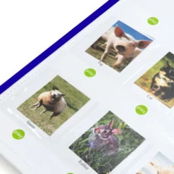Interaktiv tavla - spela in och spela upp