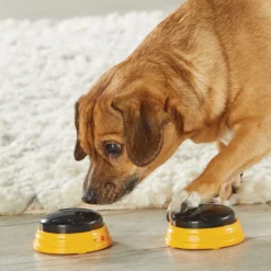 Lär din hund prata - Namn