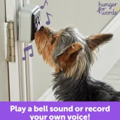 Lär din hund prata - Promenad-knapp