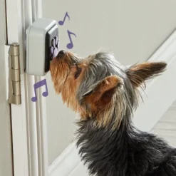 Lär din hund prata - Promenad-knapp