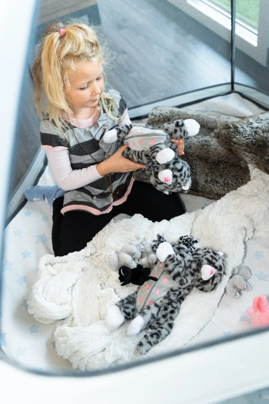 Mjukisfamilj – Katmamma med kattungar