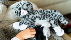 Mjukisfamilj – Katmamma med kattungar