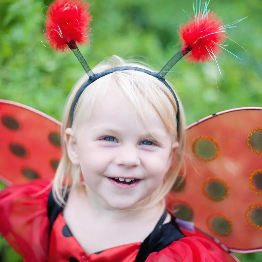 Nyckelpiga, vingar + diadem