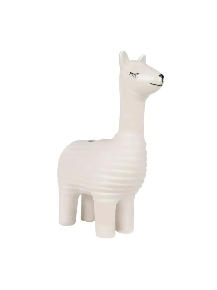 Odla chiakrasse på en lama