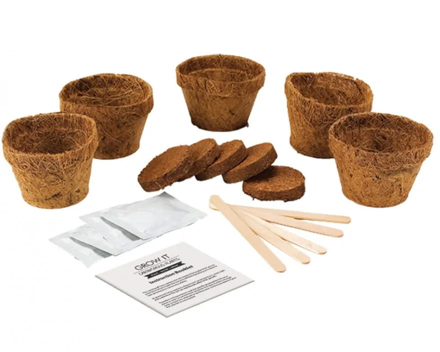 Odla själv-paket - Köttätande växt