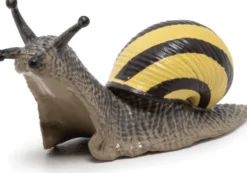 Parksnäcka - L: 6 cm