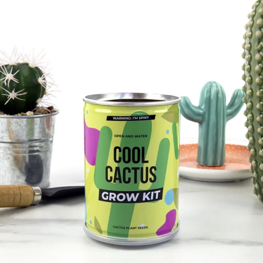 Plantera själv-paket - Kaktus