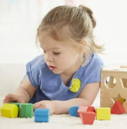 Plocklåda med geometriska klossar