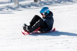 Pulka - Snowbob