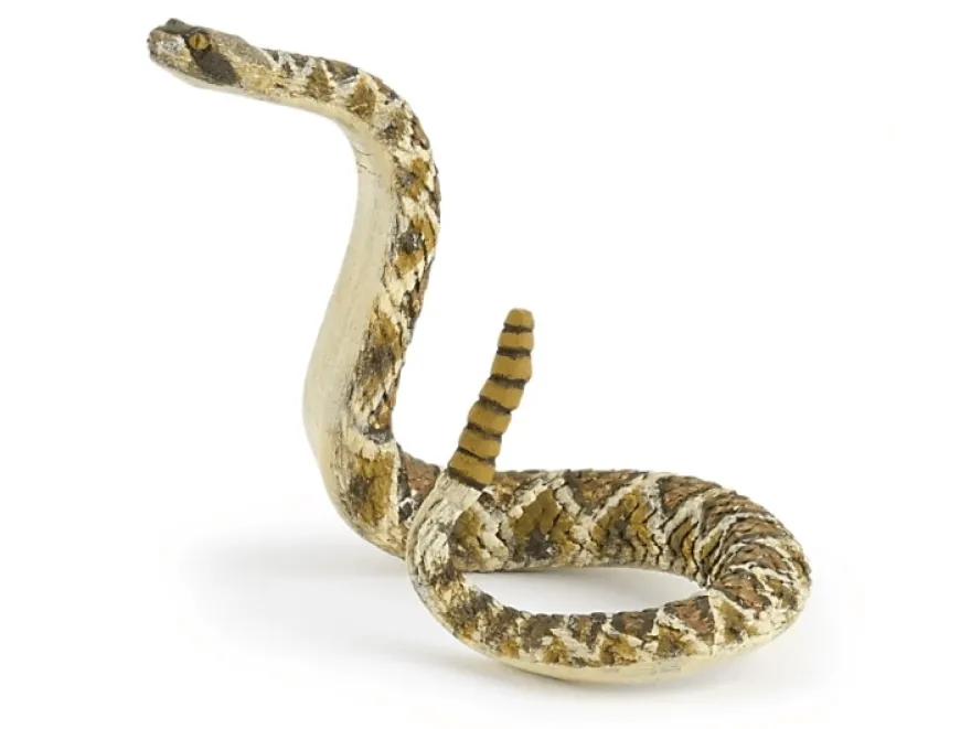 Skallerorm - L: 16,2 cm