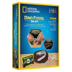 Utgrävning av dinosauriefossiler