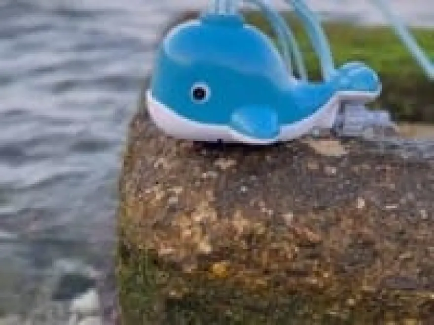 Vattenlek - Vattenspridare, val