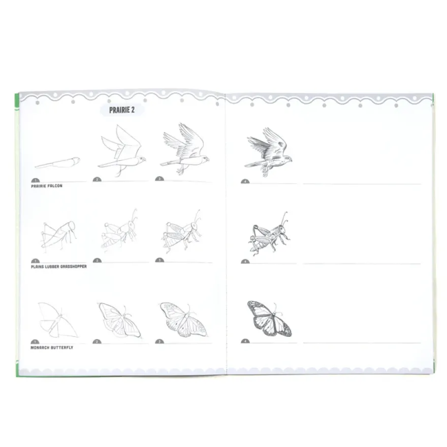 Vi lär oss rita - Bugs, Birds & Butterflies